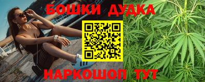 амф Камышлов