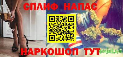 мяу мяу мука Кингисепп