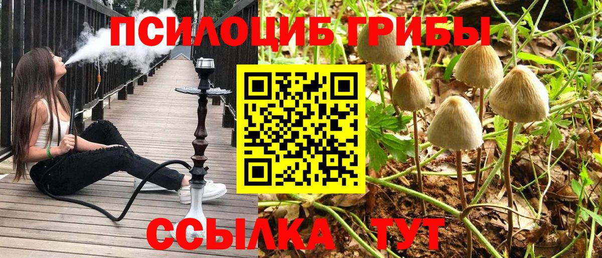 Галлюциногенные грибы Psilocybe  как найти   Вход с VPN  Крымск  Псилоцибиновые грибы Cubensis 