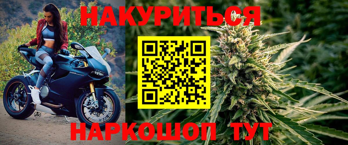 Канабис OG Kush Крымск